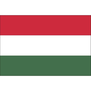 Tatouage éphémère drapeau Hongrie