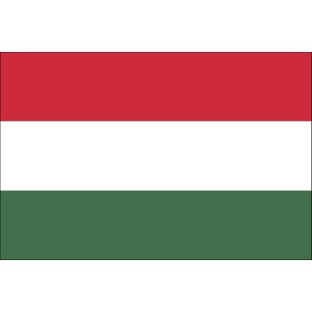 Tatouage éphémère drapeau Hongrie