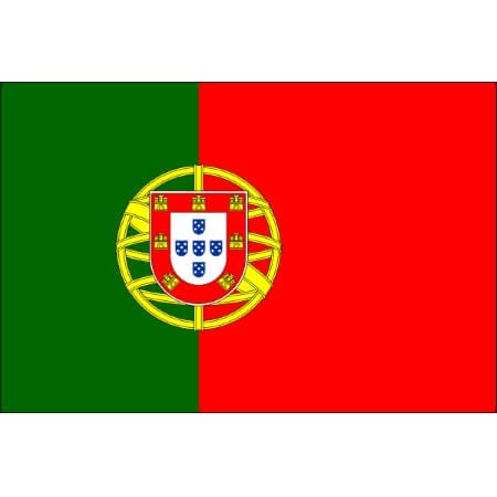 2 Portugal flag temporary tattoos 4,5cm