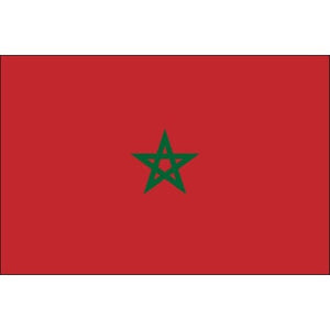 2 Morocco flag temporary tattoos 4,5cm