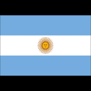 Tatouage éphémère drapeau Argentine