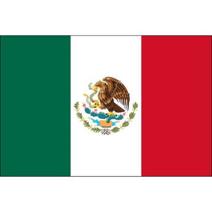Tattoo foot drapeau mexique