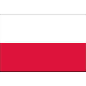 tatouage éphémère drapeau pologne