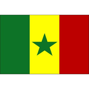 Tatouage éphémère drapeau Sénégal