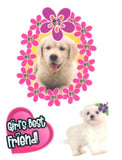 Small temporary tattoo pack Furry friends 9cm