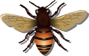 Tatouage temporaire abeille très réaliste 8 * 8 cm