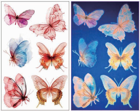 Tatouage phosphoresent papillon