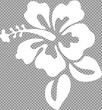 tatouage temporaire blanc fleur hibiscus