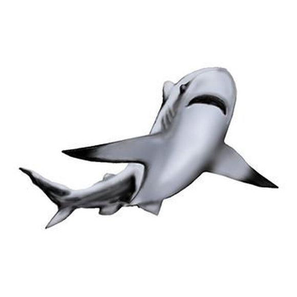 Tatouage temporaire marin requin blanc 5cm