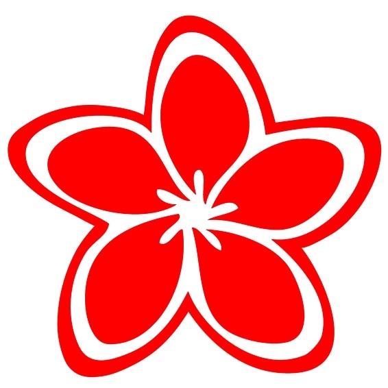 Tattoo fleur plumeria