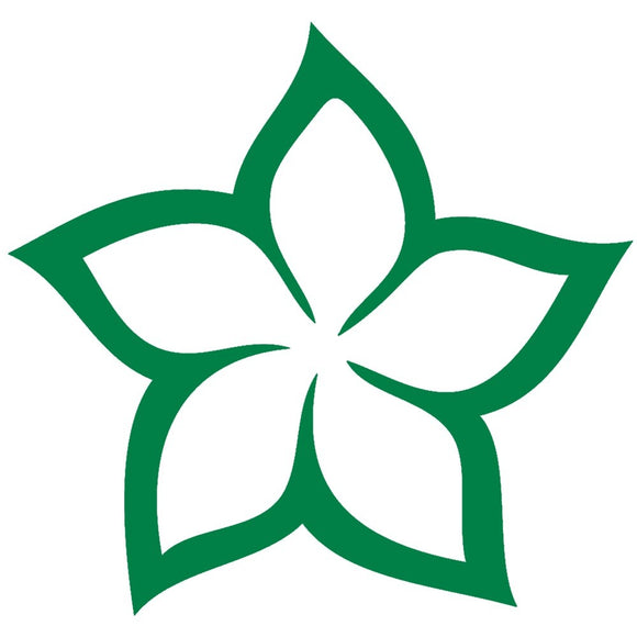 Tatouage temporaire fleur de frangipanier