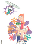 Pochette de tatouages Phineas et Ferb 10cm