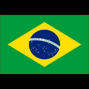 Tatouage éphémère drapeau Brésil