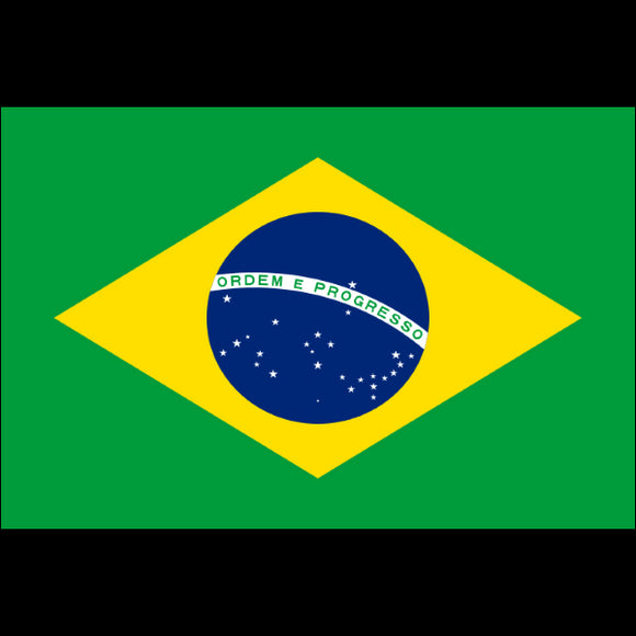 Tatouage éphémère drapeau Brésil