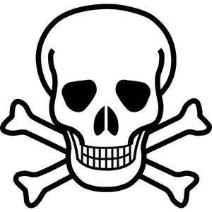 5 tatouages temporaires crâne pirate