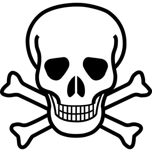 5 tatouages temporaires crâne pirate