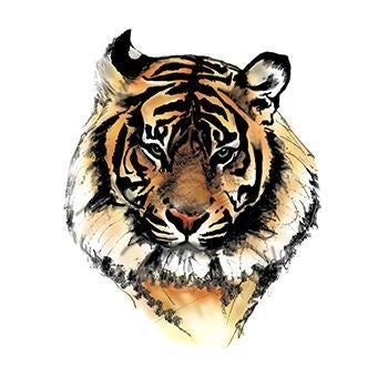 Tatouage temporaire tigre paisible
