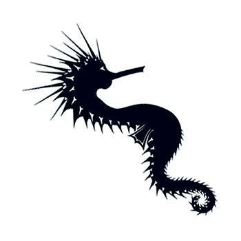 Tatouage éphémère hippocampe noir