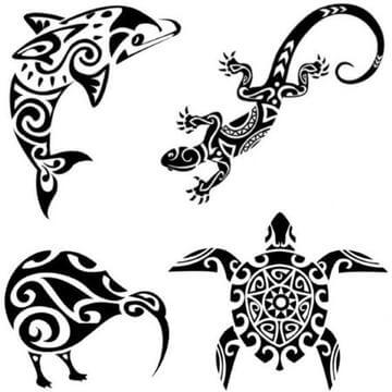 4 tatouages temporaires maori tribal : dauphin, gecko, kiwi, tortue