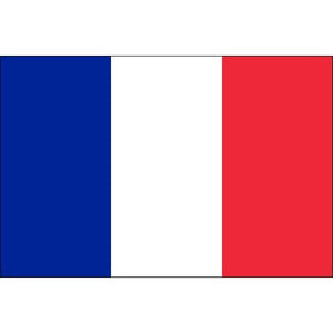Tatouage temporaire drapeau de la France