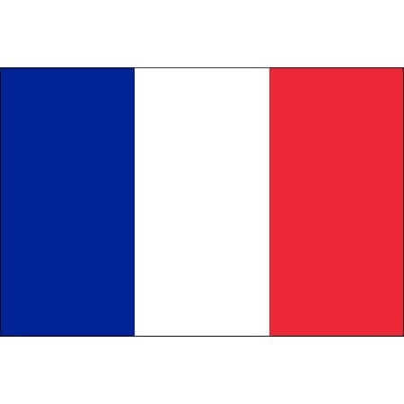 Tatouage temporaire drapeau de la France