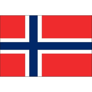 Tatouage éphémère drapeau Norvège