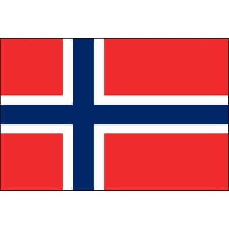 Tatouage éphémère drapeau Norvège