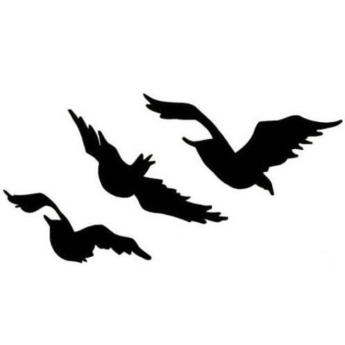 Tatouage temporaire envol d'oiseaux