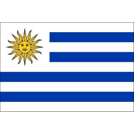 tatouage ephemere drapeau uruguay