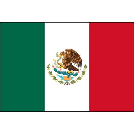 Tattoo foot drapeau mexique