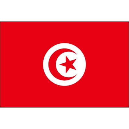 2 Tunisia flag temporary tattoos 4,5cm