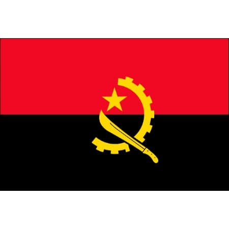 Tatouages éphémères drapeau Angola