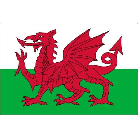 2 Wales flag temporary tattoos 4,5cm