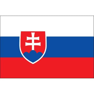 Tattoo drapeau Slovaquie