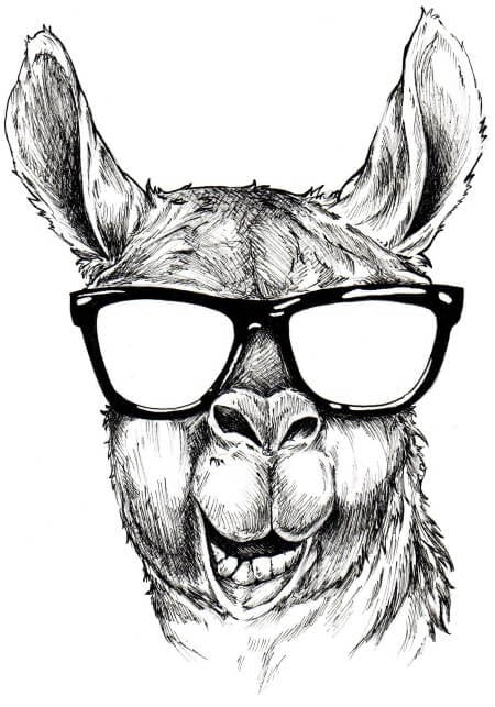 Tatouage temporaire lama