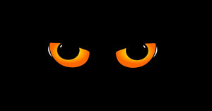 5 tatouages éphémères yeux de chat
