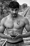Tattoo loup