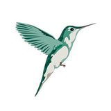 Tatouage temporaire colibri