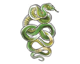 Très grand tatouage temporaire serpent tattoo 22cm