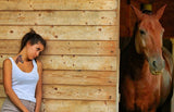Tattoo cheval