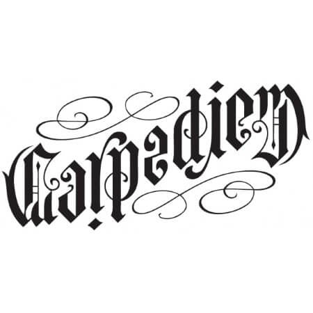 Tatouage temporaire Carpe Diem