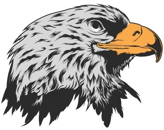 Tatouage temporaire aigle Johnny