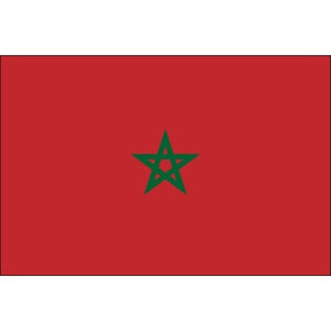 tatouage temporaire drapeau maroc