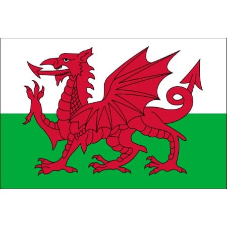 Tatouage temporaire drapeau anglais pays de galles
