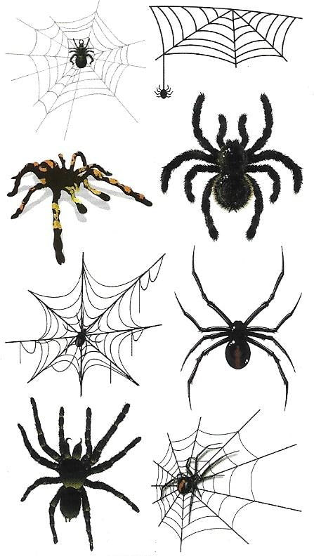 Planche de tatouages teporaires araignées