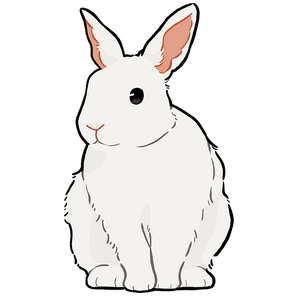 Tatouage temporaire représentant un lapin blanc trop mignon : pour petits et grands
