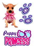 Small temporary tattoo pack Furry friends 9cm