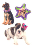 Pochette de tatouages temporaires furry friends