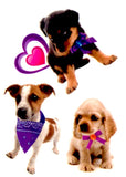 Pochette de tatouages temporaires furry friends