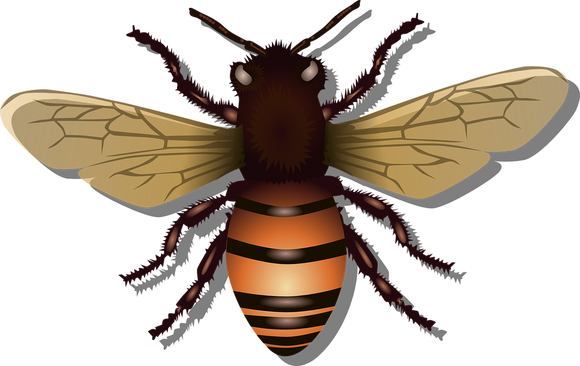 Tatouage temporaire abeille très réaliste 8 * 8 cm